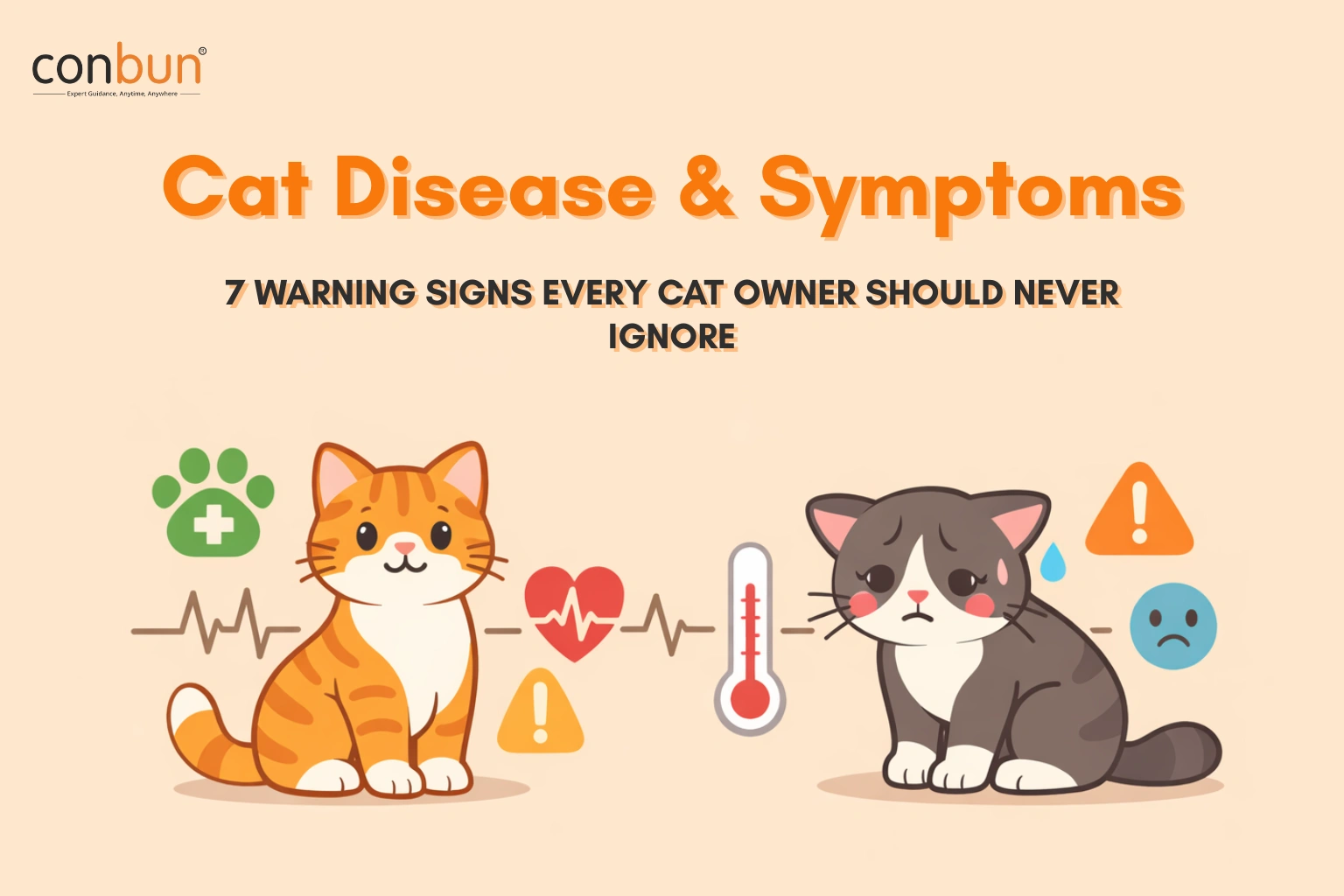 Cat Diseases & Symptoms: Early Warning Signs Every Cat Owner Must Know